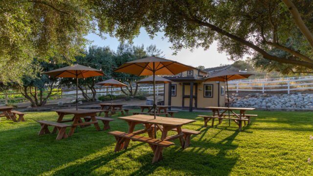 Robert Renzoni Vineyards & Winery photo