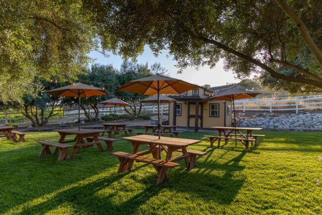 Robert Renzoni Vineyards & Winery photo