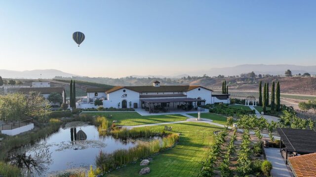 Truffle Pig Winery photo