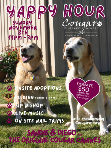 Yappy Hour