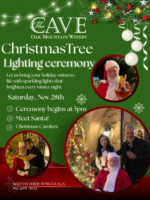 Christmas Tree Lighting Ceremony