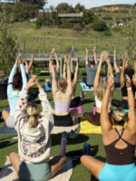 Vineyard View Yoga @Akash