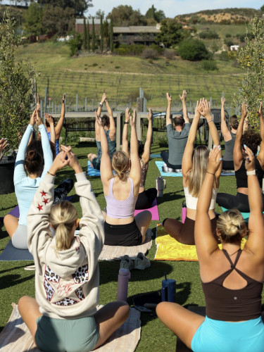 Vineyard View Yoga @Akash